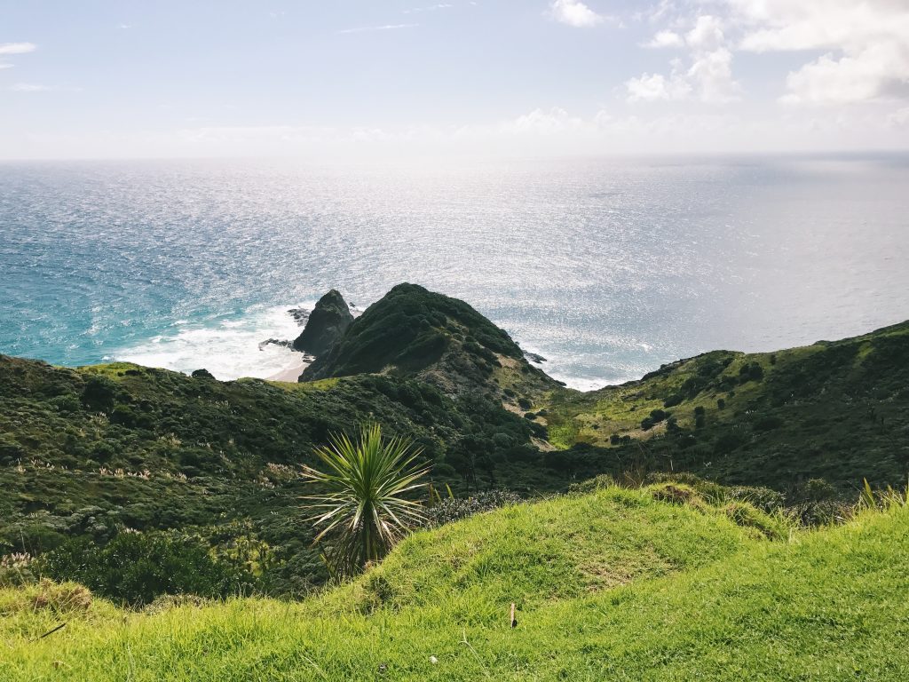 New Zealand